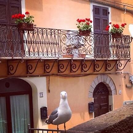 Bed and Breakfast L'Appogghju Castelsardo Exterior foto