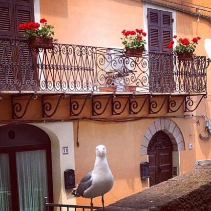 Bed and Breakfast L'Appogghju Castelsardo Exterior foto